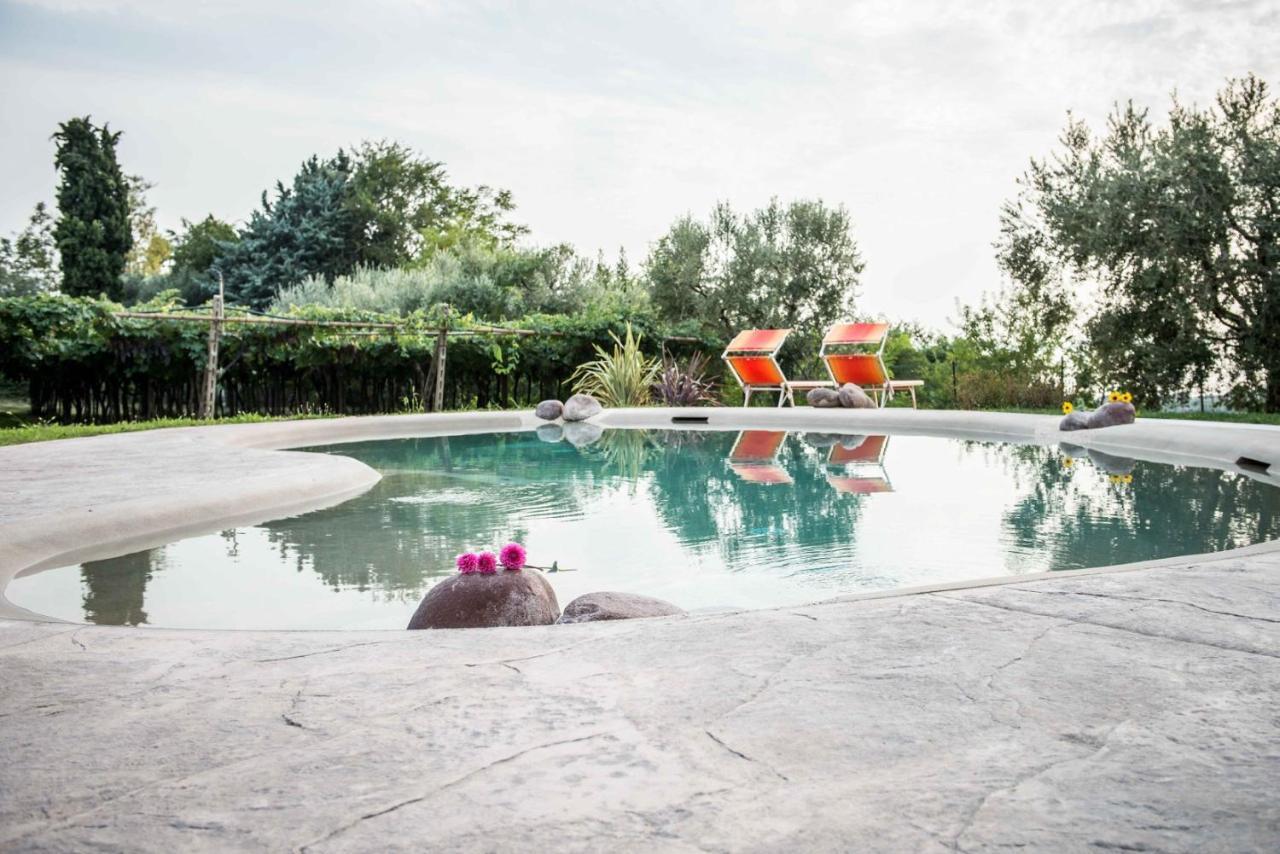 Agriturismo Il Grappolo Farm stay Lazise