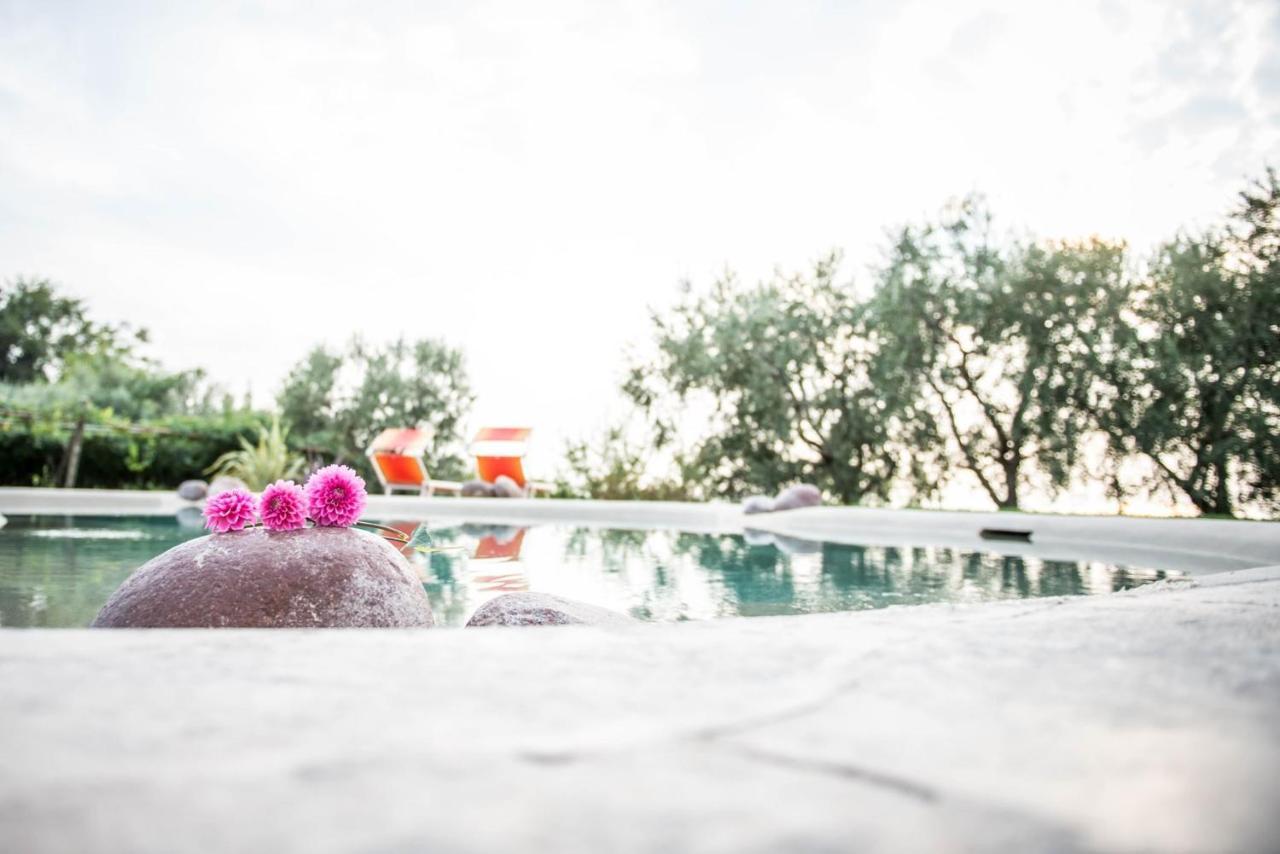 Farm stay Agriturismo Il Grappolo Lazise
